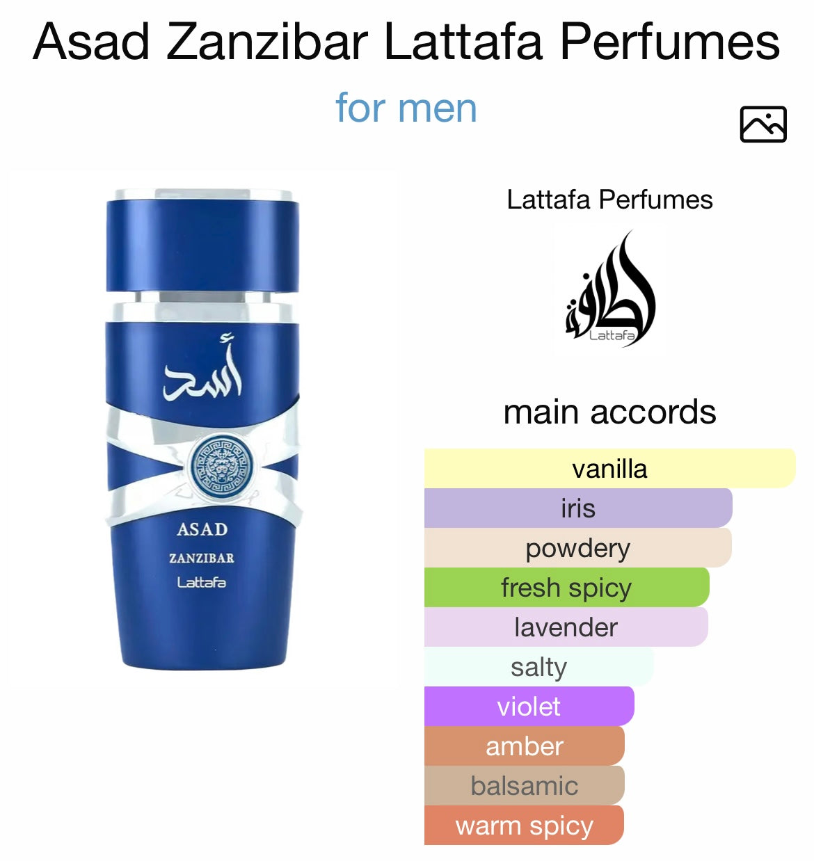 ASAD ZANZIBAR - EDP      (100 ml/3.4 fl oz)