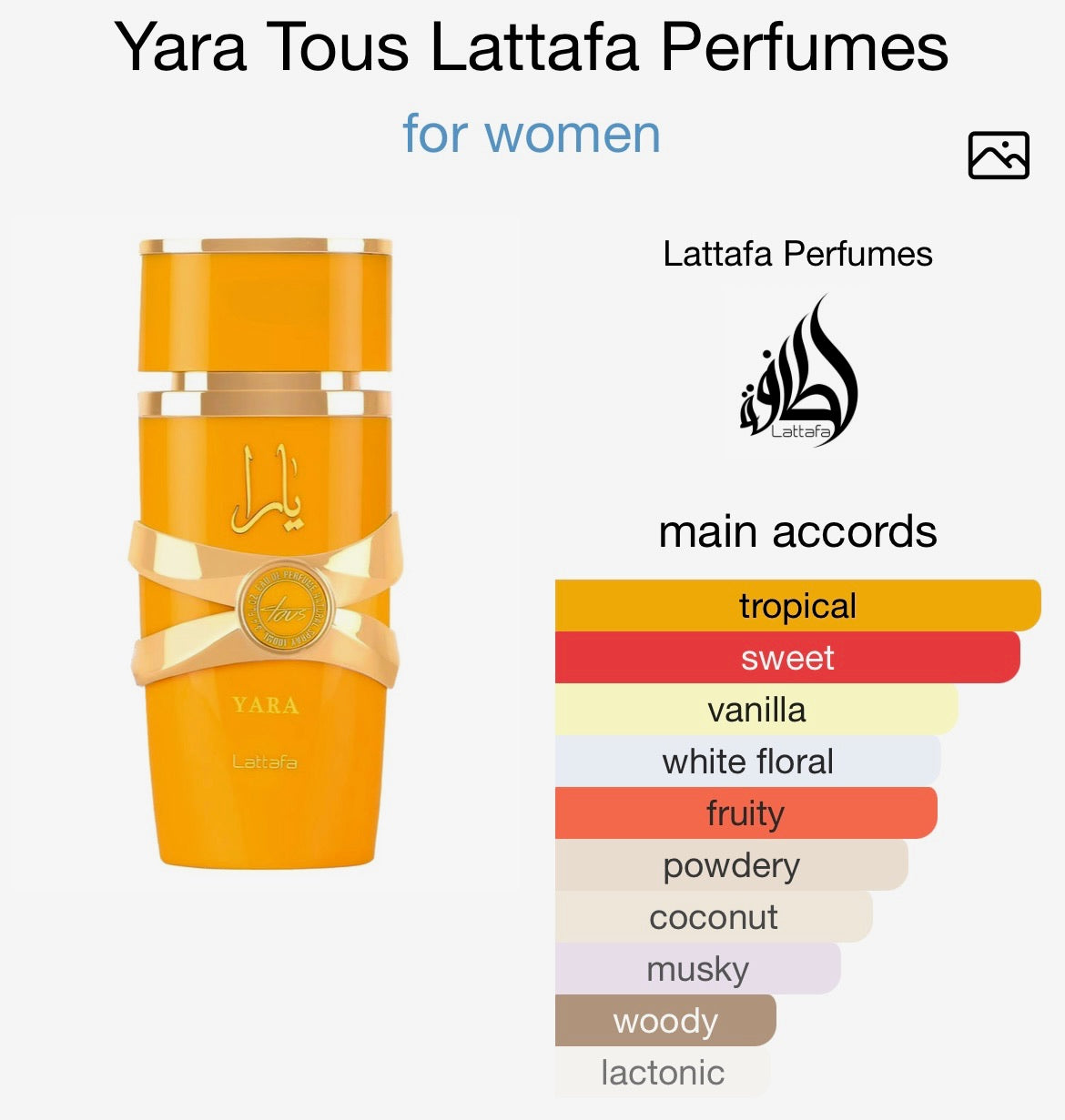 YARA TOUS - EDP                    (100 ml/3.4 fl oz)